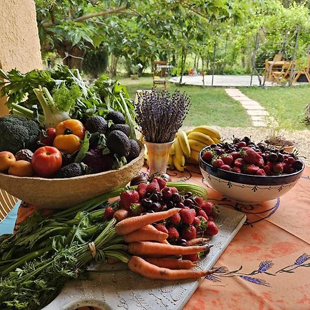 La Maison De Blu Lorgues Ngoại thất bức ảnh